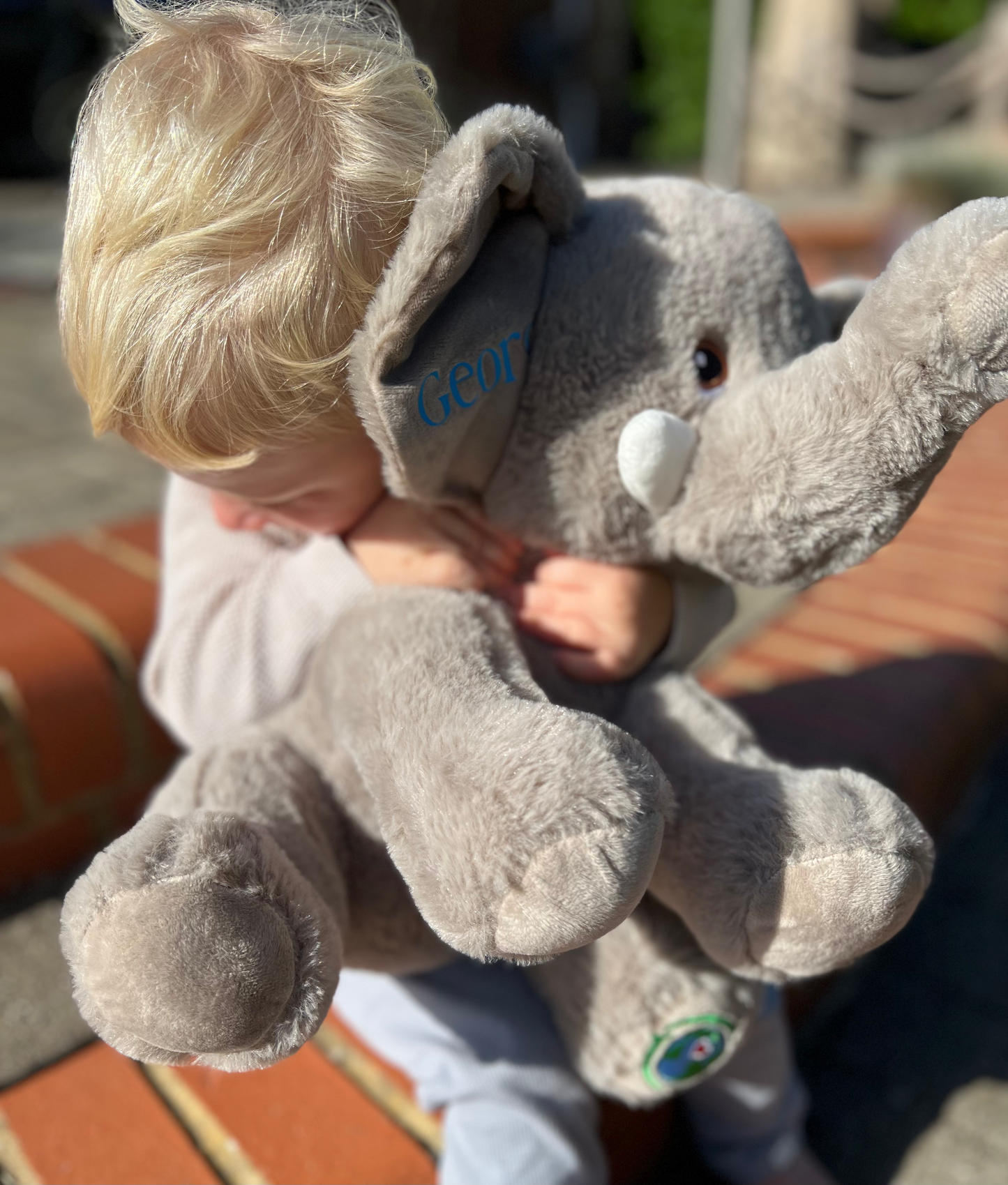 Personalised Eco Elephant