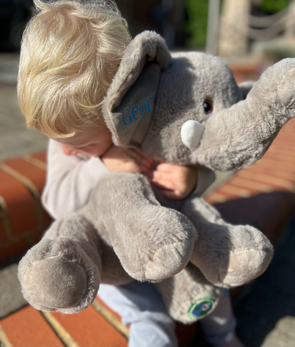 Personalised Eco Elephant