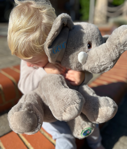 Personalised Eco Elephant
