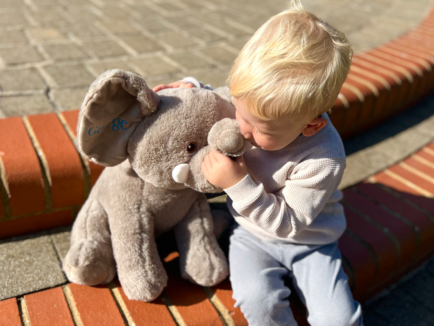 Personalised Eco Elephant